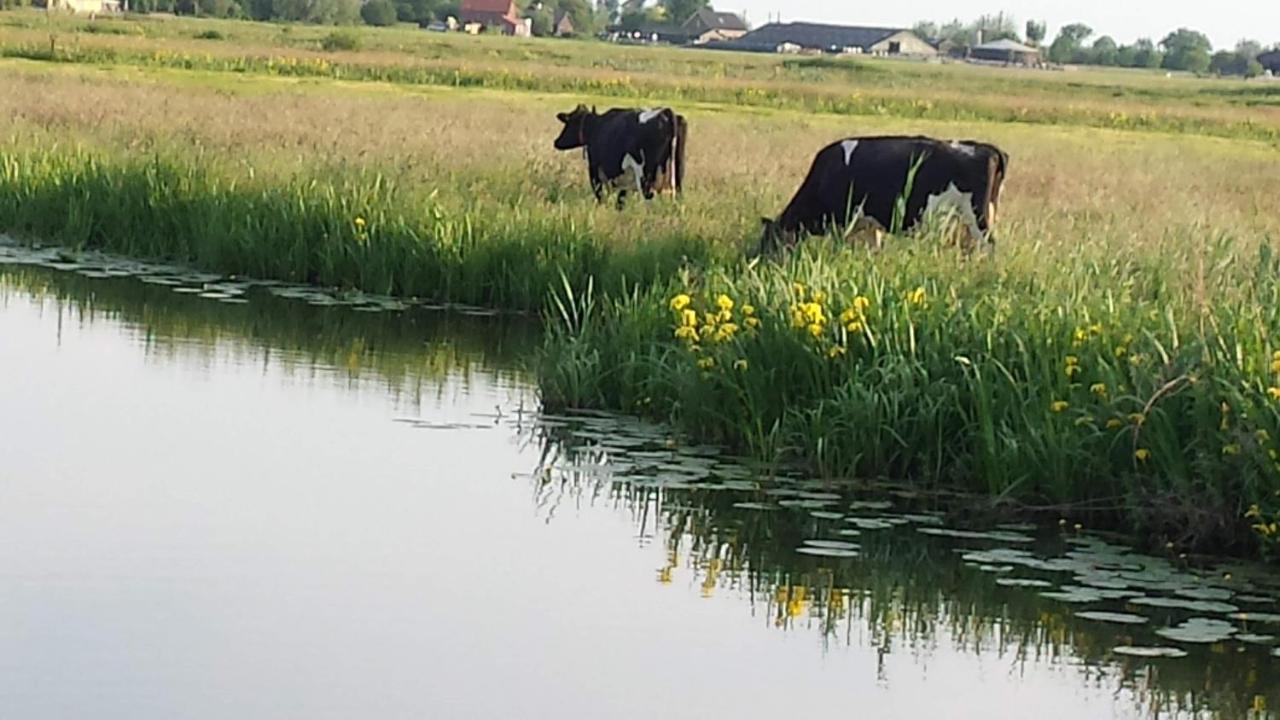 Bed and Breakfast Het Kraaienbosch Zegveld Экстерьер фото